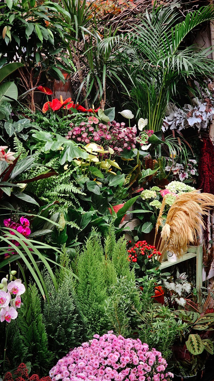 A vibrant garden in Bucharest, Romania, showcasing a diverse array of plants and flowers.